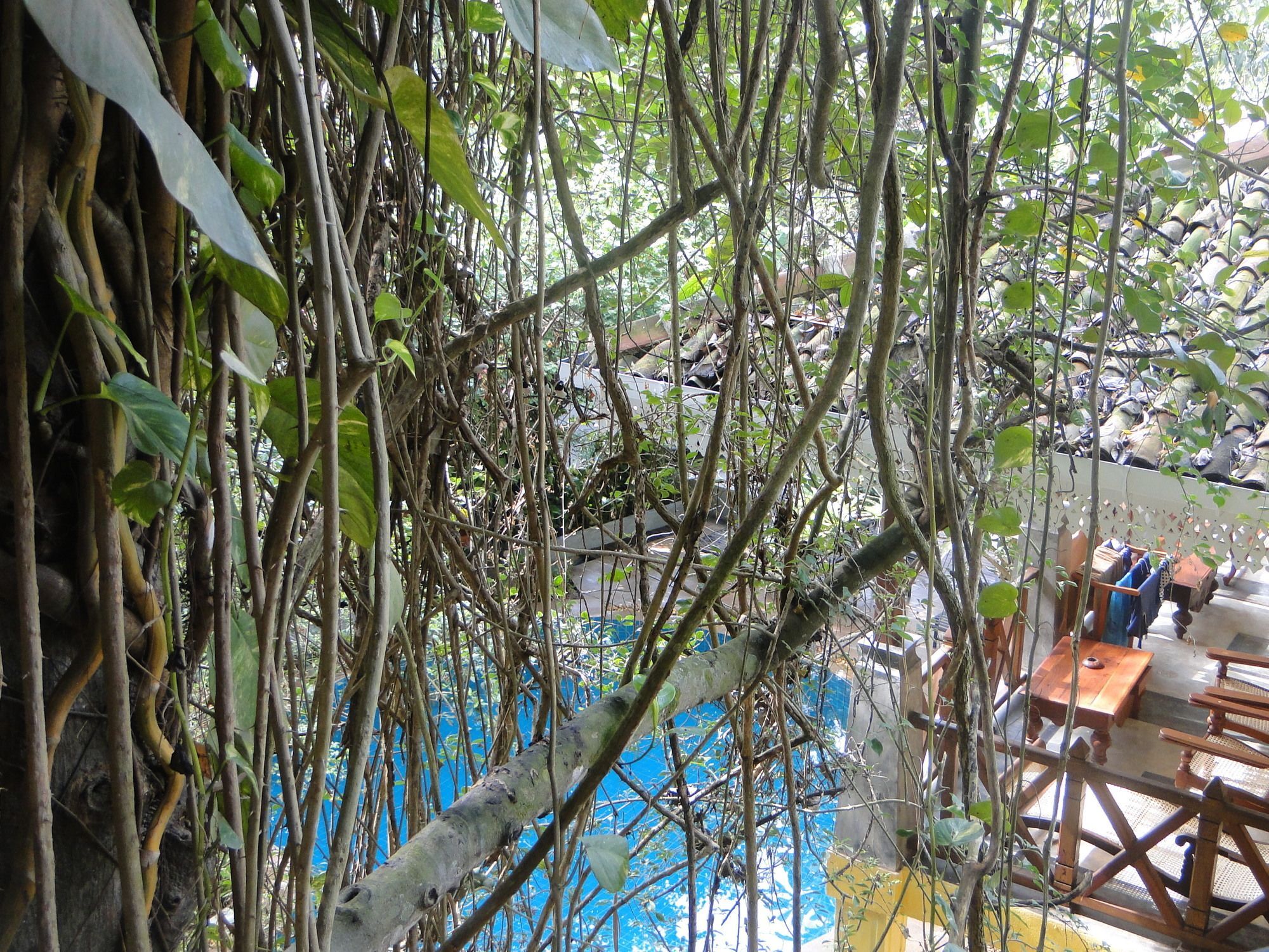 Thambapanni Retreat Hotel Unawatuna Bagian luar foto